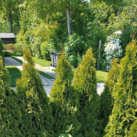 6 Person In Hornbaek-by Traum *